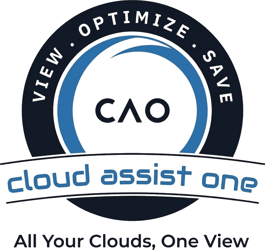 Cloud Assist One